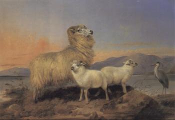 Richard Ansdell : A Ewe with Lambs and a Heron Beside a Loch